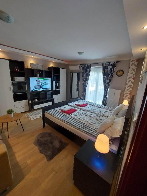 Sala de estar con cama grande y TV en City Comfort en Dunaújváros