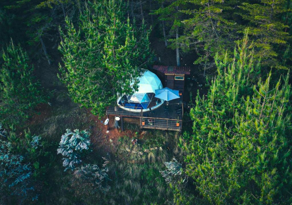 an aerial view of a tent in the middle of a forest at Refugios de Alta Güita in Suesca