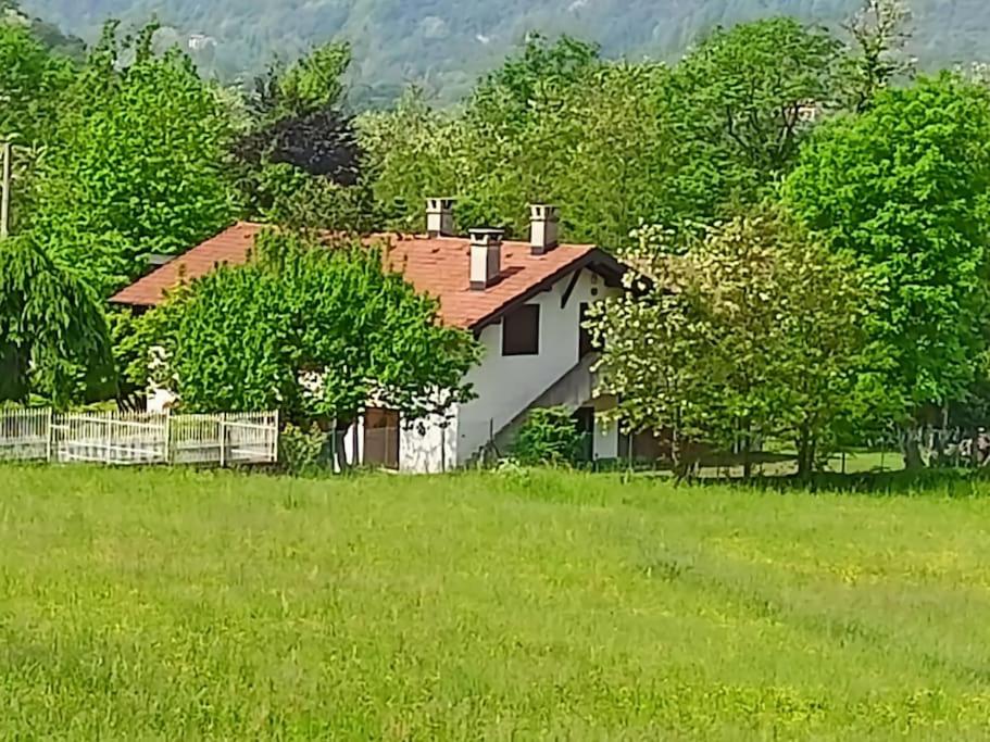 uma casa branca num campo com árvores em Casa sul Lago di Lugano - Besano / Porto Ceresio em Besano