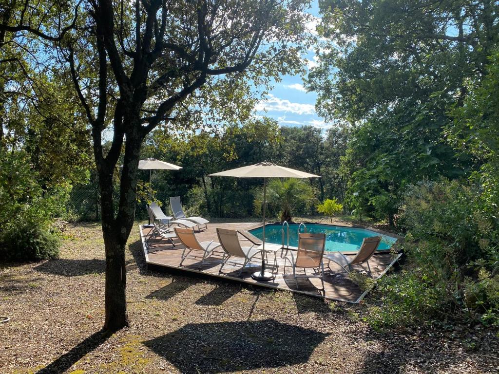 une piscine avec chaises et parasols dans une cour dans l'établissement La Canopé, à Aubais