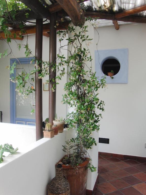 Zahrada ubytování Albergo Boutique Casajanca