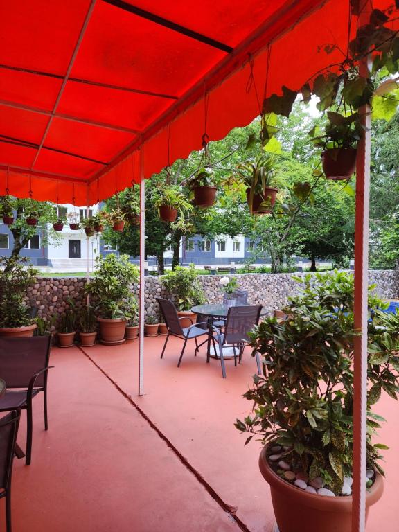 Zahrada ubytování Vizitori Hotel