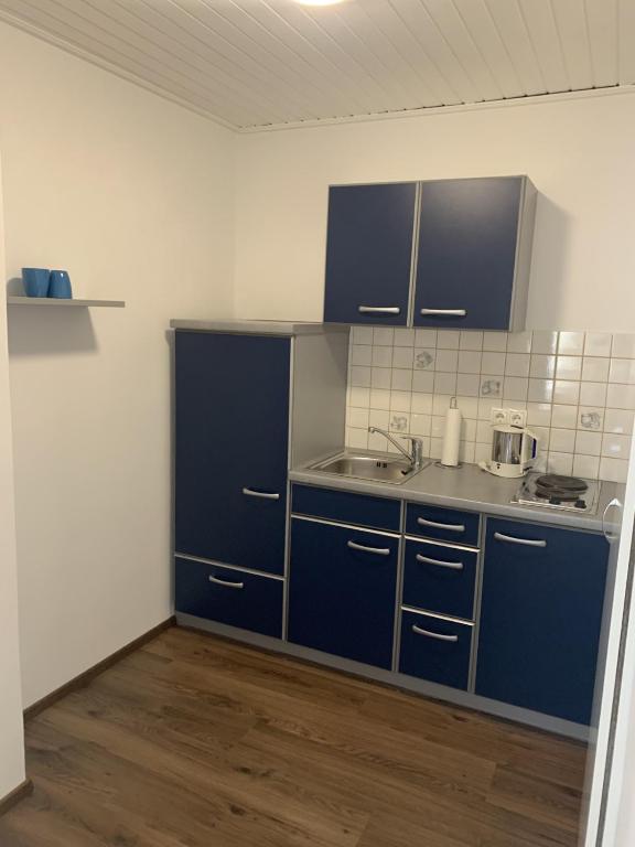 a kitchen with blue cabinets and a sink at Kieslinghof in Purbach am Neusiedlersee