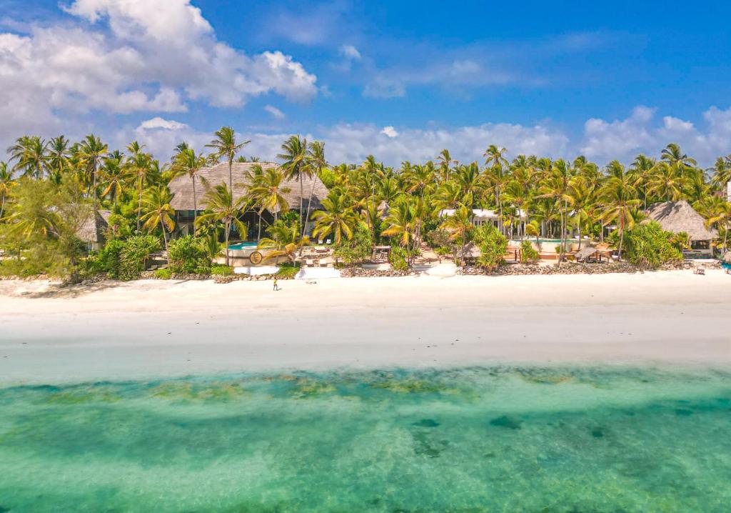 - une vue aérienne sur une plage bordée de palmiers dans l'établissement Boutique Hotel Matlai, à Michamvi