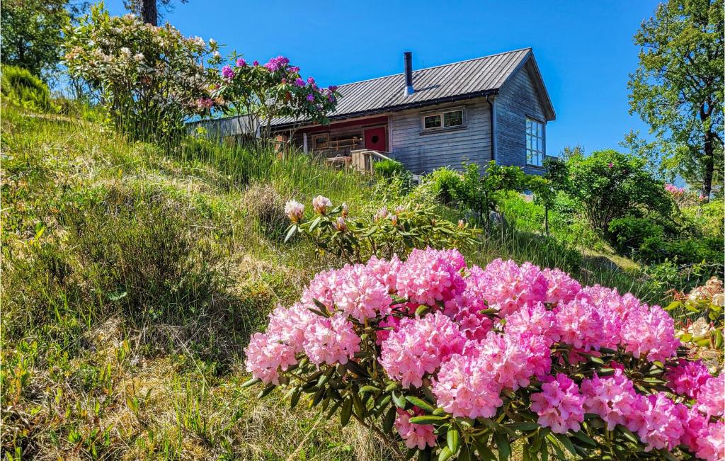 an old house on a hill with pink flowers at Beautiful Home In Jrpeland With Wifi And 2 Bedrooms in Jørpeland