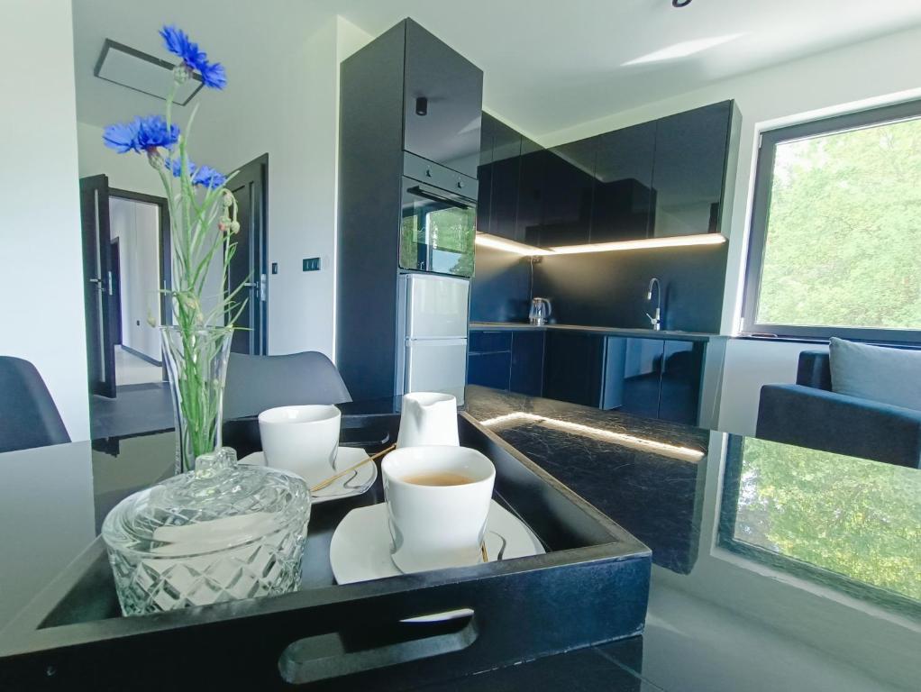 Modern Rancho - apartamenty nad rzeką, przy stadninie koni - Suite Familiar Con Balcón