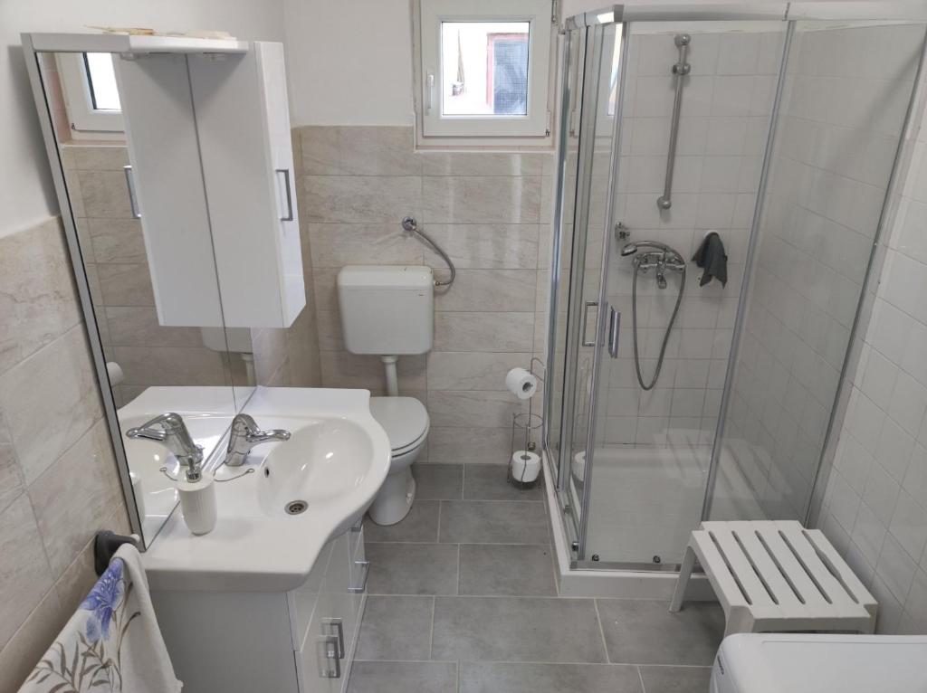 een badkamer met een wastafel, een douche en een toilet bij Na Zeleni cesti / On the green road in Dekani