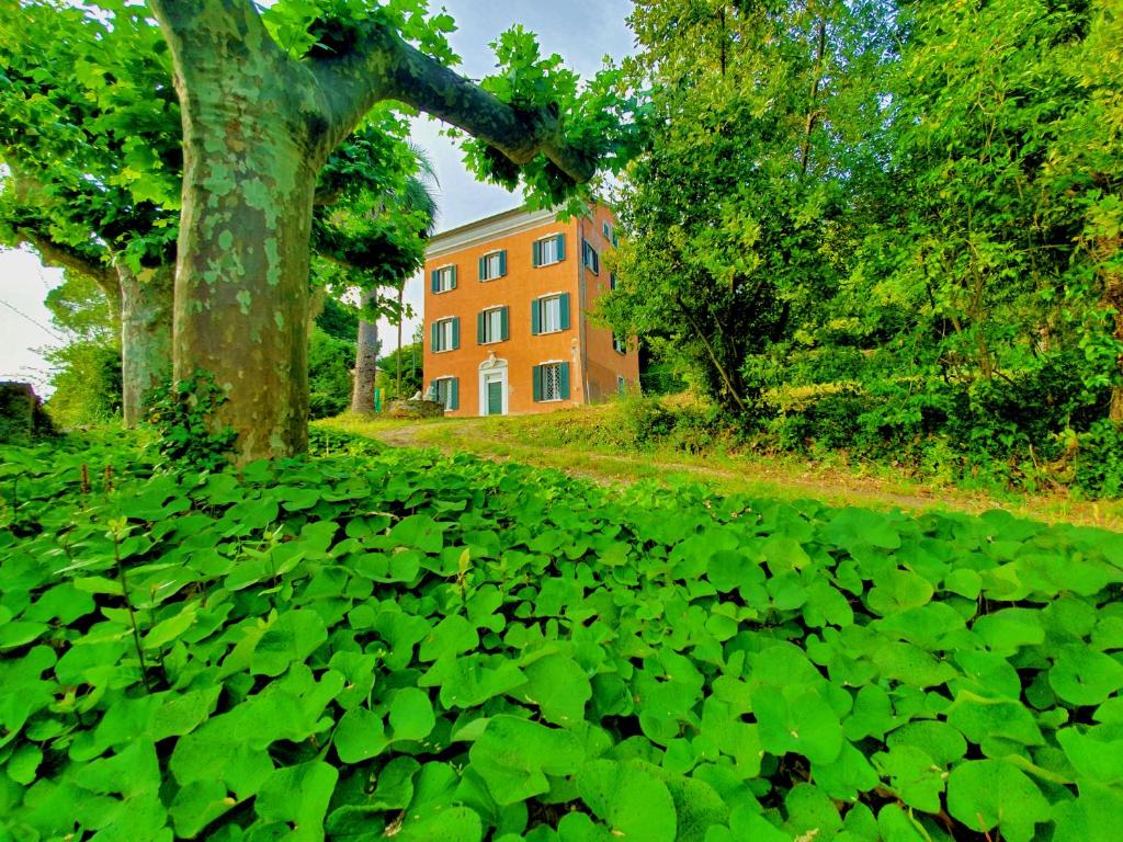 um edifício laranja no meio de um campo de plantas em Villa De Benedetti em Sarzana