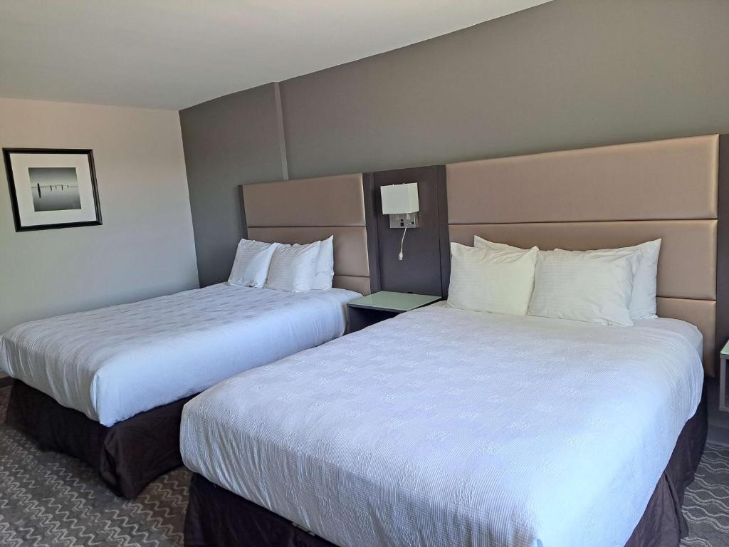 
Executive Queen Room with Two Queen Beds - Non-Smoking
