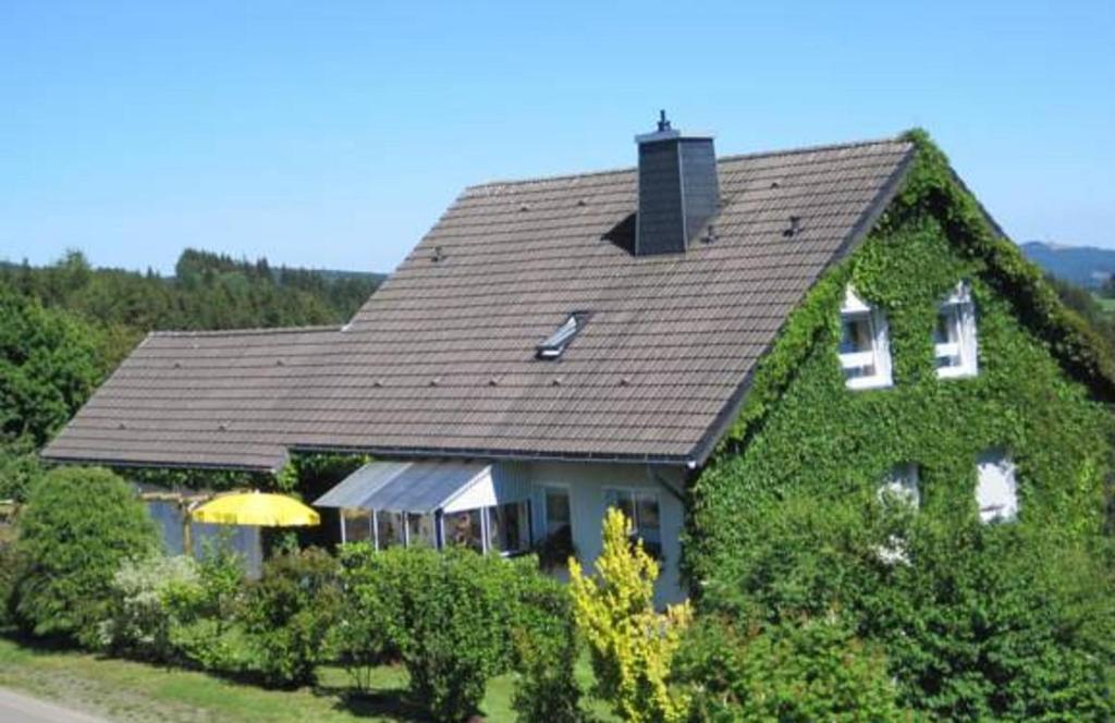 una casa cubierta de hiedra verde con un paraguas en Ferienwohnung Trapp en Winterberg