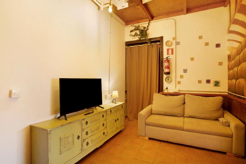 TV a/nebo společenská místnost v ubytování El Alpendre de la Vega 3