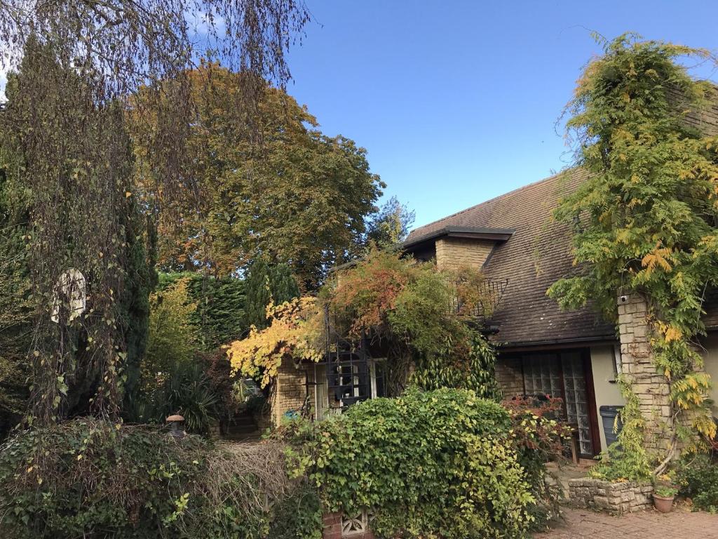 a house with a large tree in front of it at Sandford Meadow Guest House in Oxford