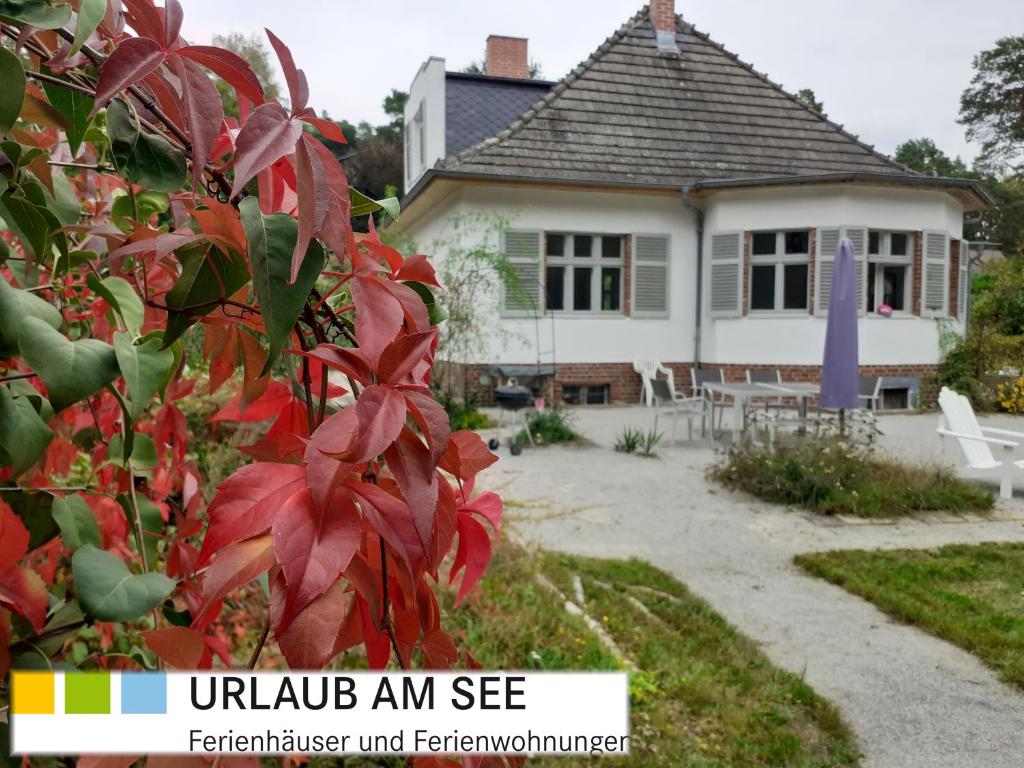 una casa con hojas rojas delante de ella en Kleines Landhaus am Wald Bad Saarow en Bad Saarow-Pieskow