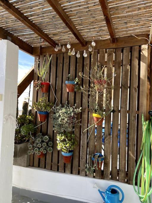 Vonkajšia záhrada v ubytovaní La Casa del San Antón