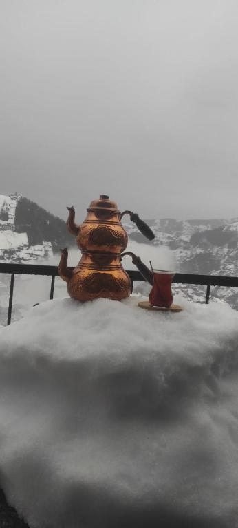 Fotografie z fotogalerie ubytování Obilaz Dağ Evleri v destinaci Dikkaya