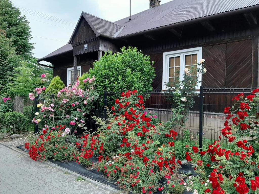 un jardín de flores frente a una casa en Gospodarstwo przy drodze. en Czchów