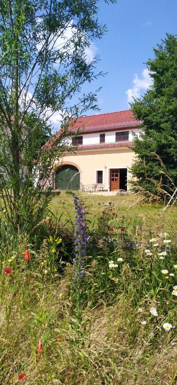 Zahrada ubytování Ferienhof-Kühn