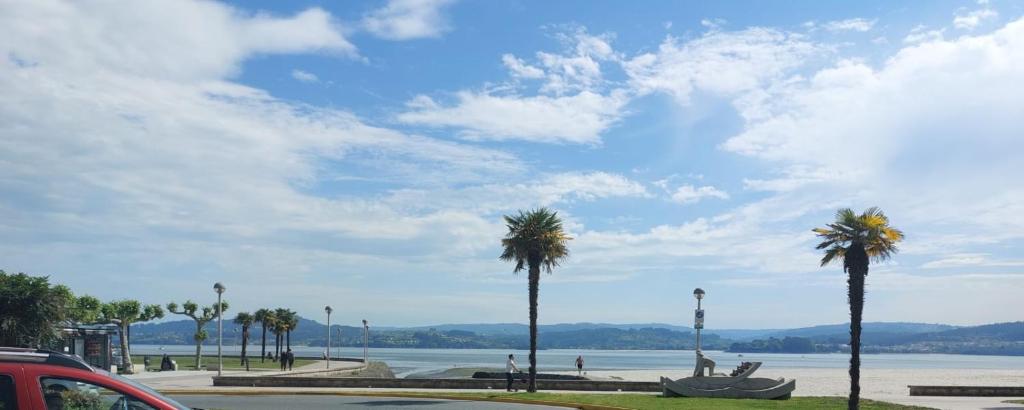a group of palm trees and a body of water at Apartamento playa sada in Sada