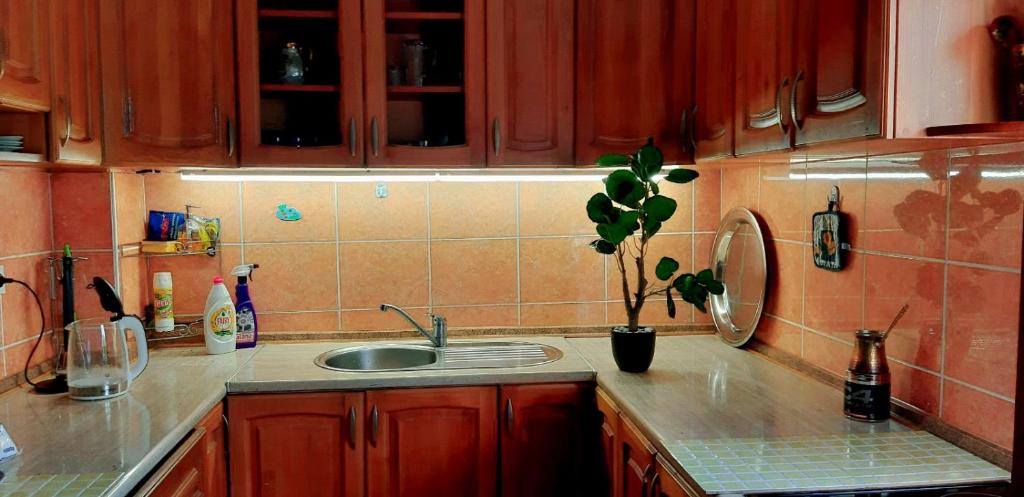 um balcão de cozinha com um lavatório e um vaso de plantas em Holiday Home Mirza em Sarajevo
