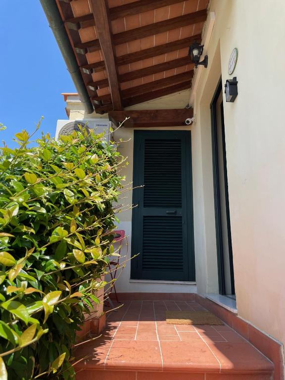 a front door of a house with a green door at My Bnb Pisa in Pisa
