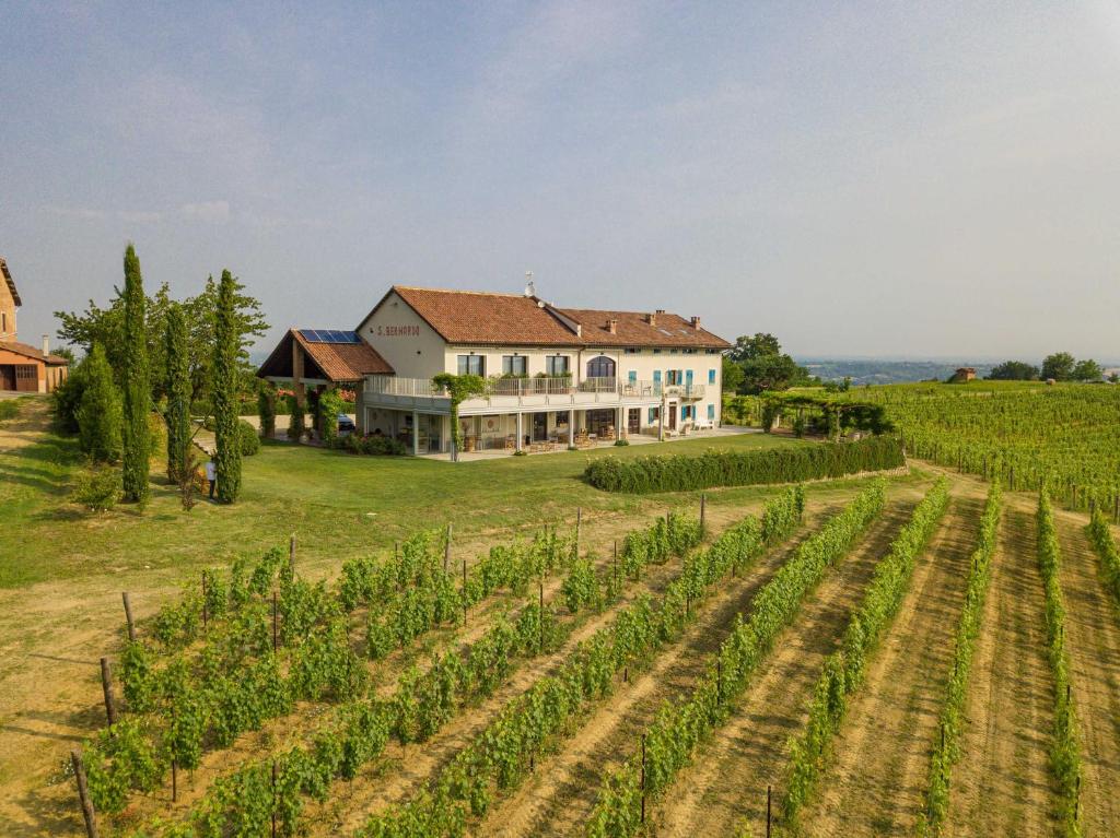 a house in the middle of a field of vines at Braida Wine Resort in Rocchetta Tanaro