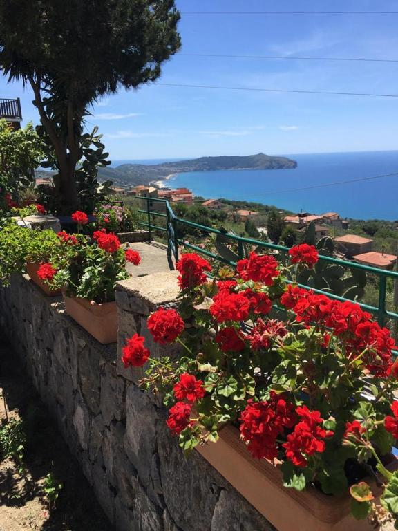 a bunch of red flowers on a stone wall at Villa Incanto B&B in Caprioli