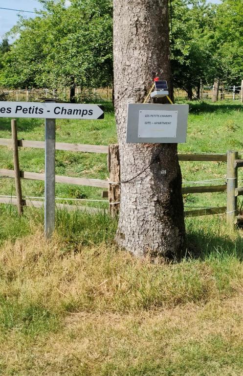 Fotografia z galérie ubytovania Les Petits Champs v destinácii Buais