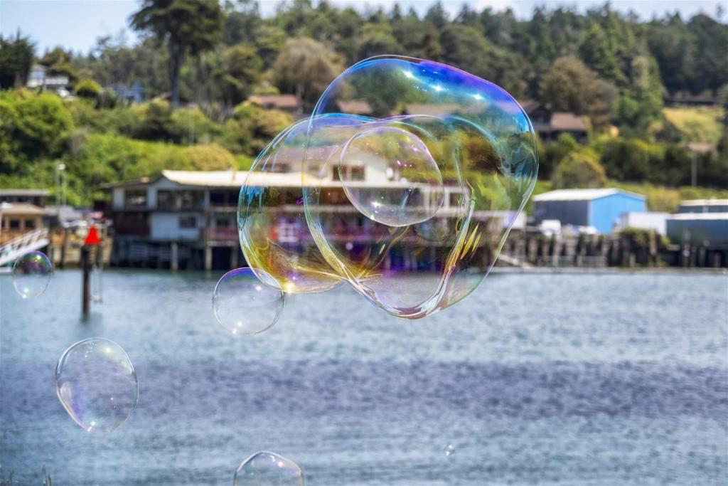 una grande bolla di sapone nell'acqua accanto a un corpo d'acqua di H - Crab Shack a Fort Bragg