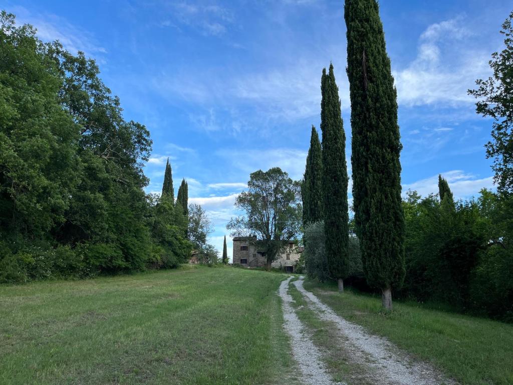 Città di Castello – Photos 5