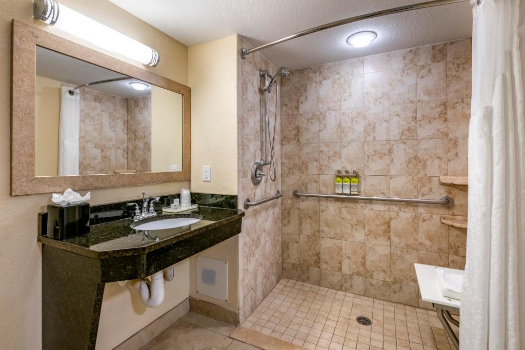 Holiday Inn Resort Orlando - Lake Buena Vista, an IHG Hotel - 