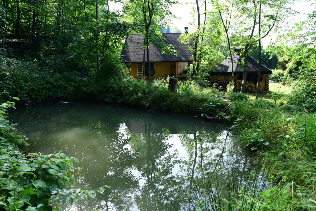 a log cabin in the woods next to a river at Leśny kącik 