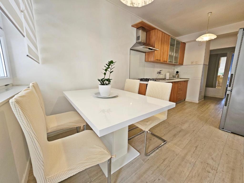 Kuchyňa alebo kuchynka v ubytovaní Apartment Baul