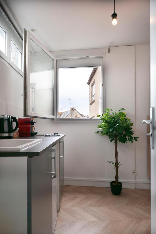 eine Küche mit einer Topfpflanze und einem Fenster in der Unterkunft studio trankil coeur d&#39;Ancenis - balcons d&#39;Ancenis in Ancenis