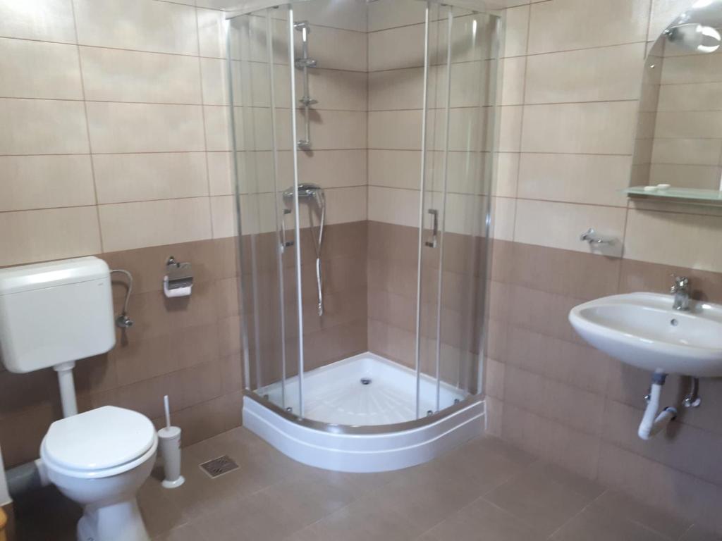 a bathroom with a shower and a toilet and a sink at Casa Ionel si Dani in Fundata