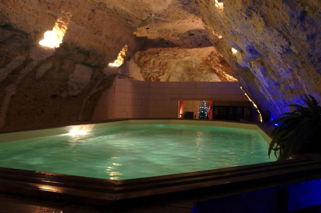 a swimming pool in a cave with a rock wall at Chambres d'Hôtes Troglodytes Le Clos de L'Hermitage in Amboise