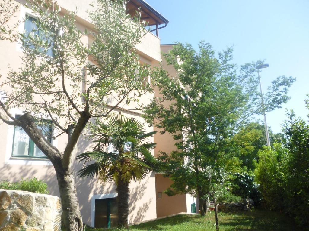 un edificio con un árbol delante de él en Accomodation Suran, en Rovinj