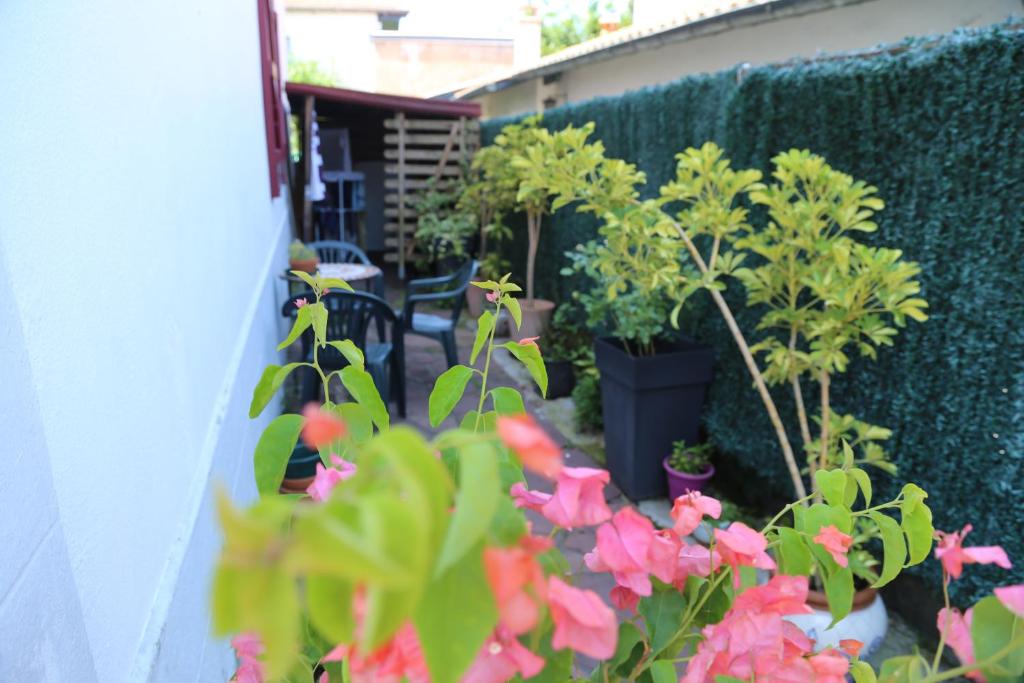 d'un jardin avec des plantes et des fleurs sur un balcon dans l'établissement Gure Oroitza, à Hendaye