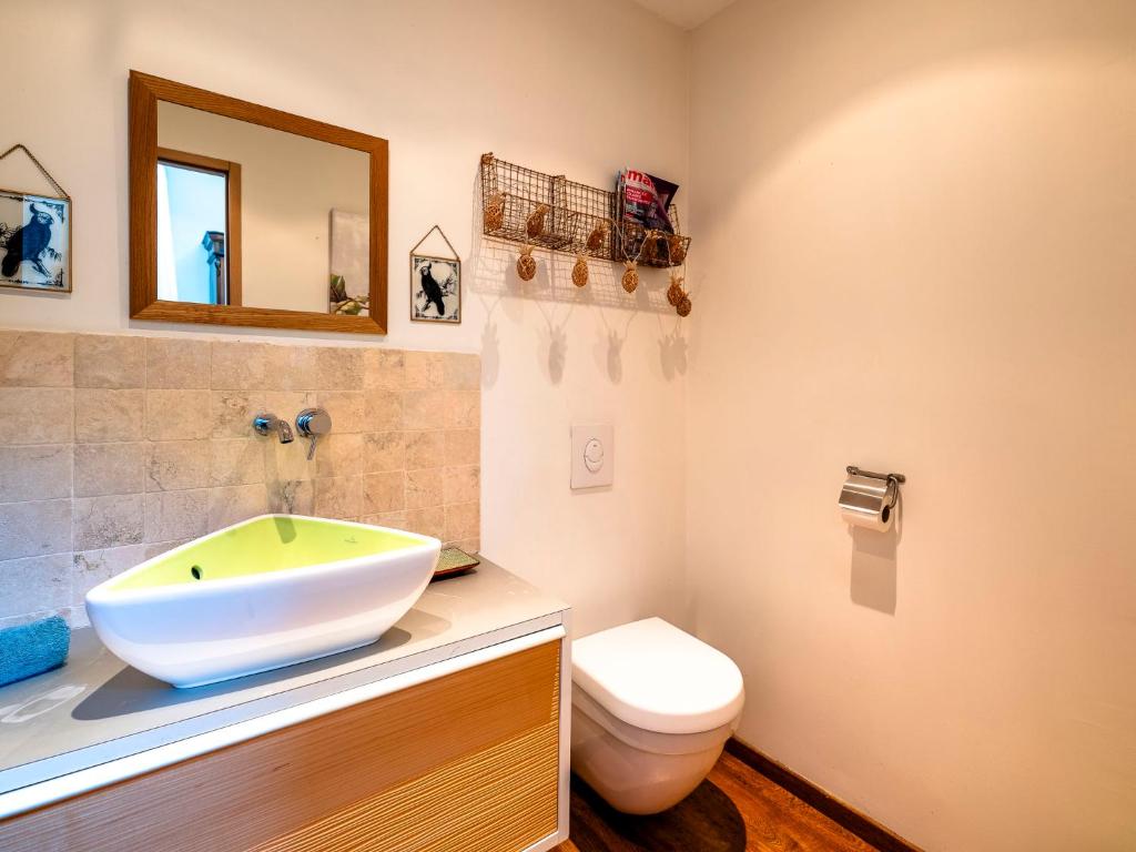 a bathroom with a sink and a toilet at Holiday Home Le Mas d&#39;Adélaïs by Interhome in Baron