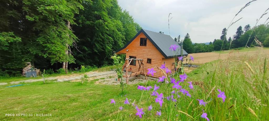 una pequeña casa en un campo con flores púrpuras en Chata DUDZIAKÓWKA, en Werlas