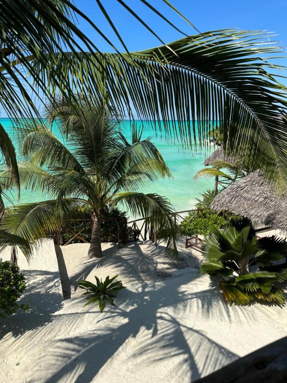 a view of a beach with palm trees and the ocean at Natural Garden Hotel in Jambiani