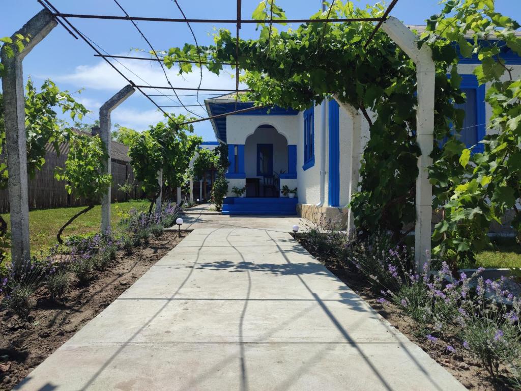 ścieżka prowadząca do domu z niebieskimi drzwiami w obiekcie Casa Traditionala Clisciova w mieście Murighiol