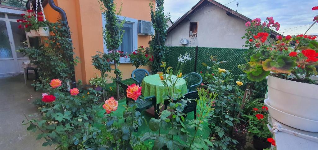 Apartman Lama - Standard Studio