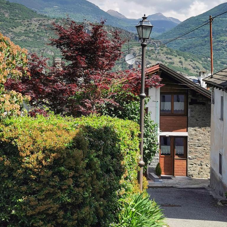 een straatlicht voor een huis met struiken bij marmot in Saint Marcel