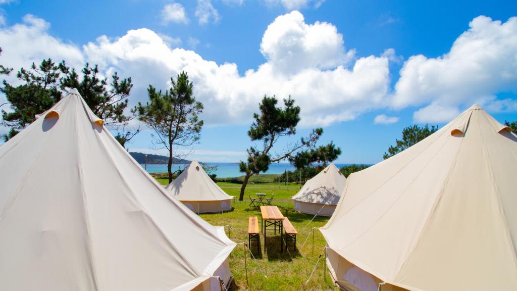 Příroda nedaleko luxury tent