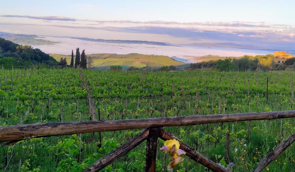 Castel Brunello