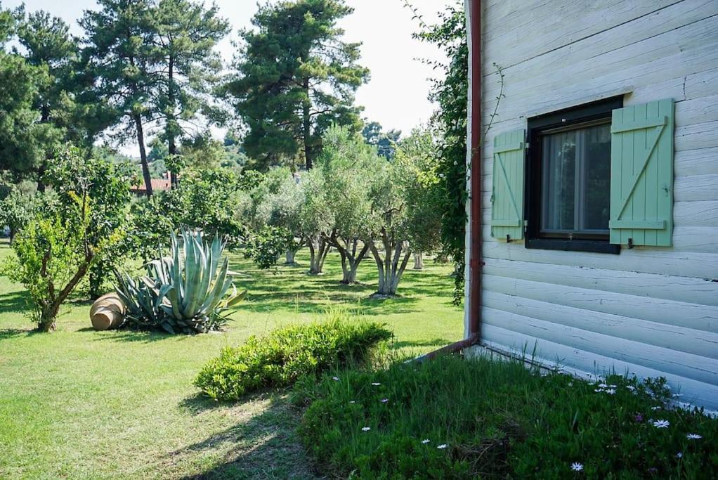 Zahrada ubytování SeaFront Villa Glaros