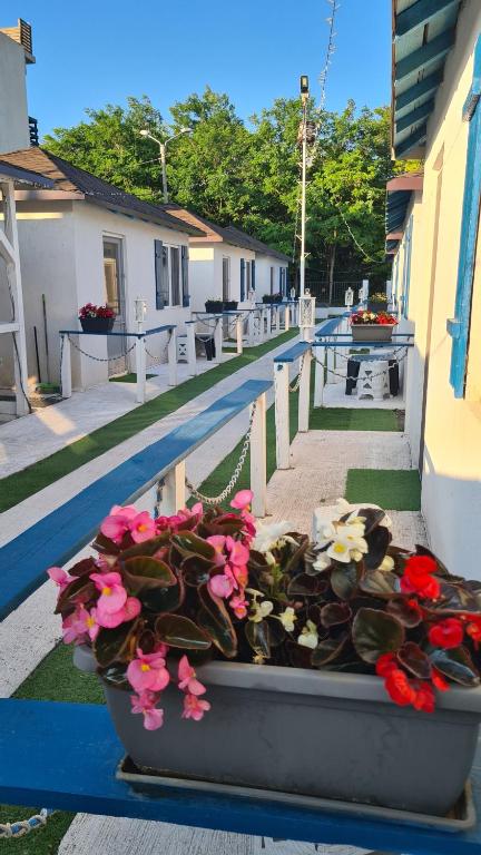 a planter filled with flowers sitting on a balcony at Holiday Village in Eforie Nord