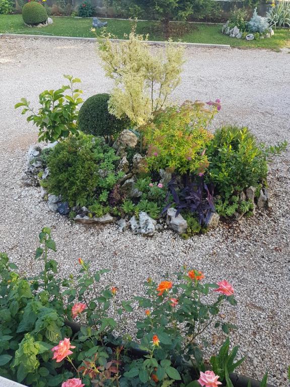 Gabi Rooms & Studio Apartment - 10