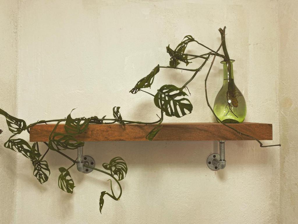 a shelf with two vases and a plant on it at El Acicate Hospedaje in Cuetzalán del Progreso