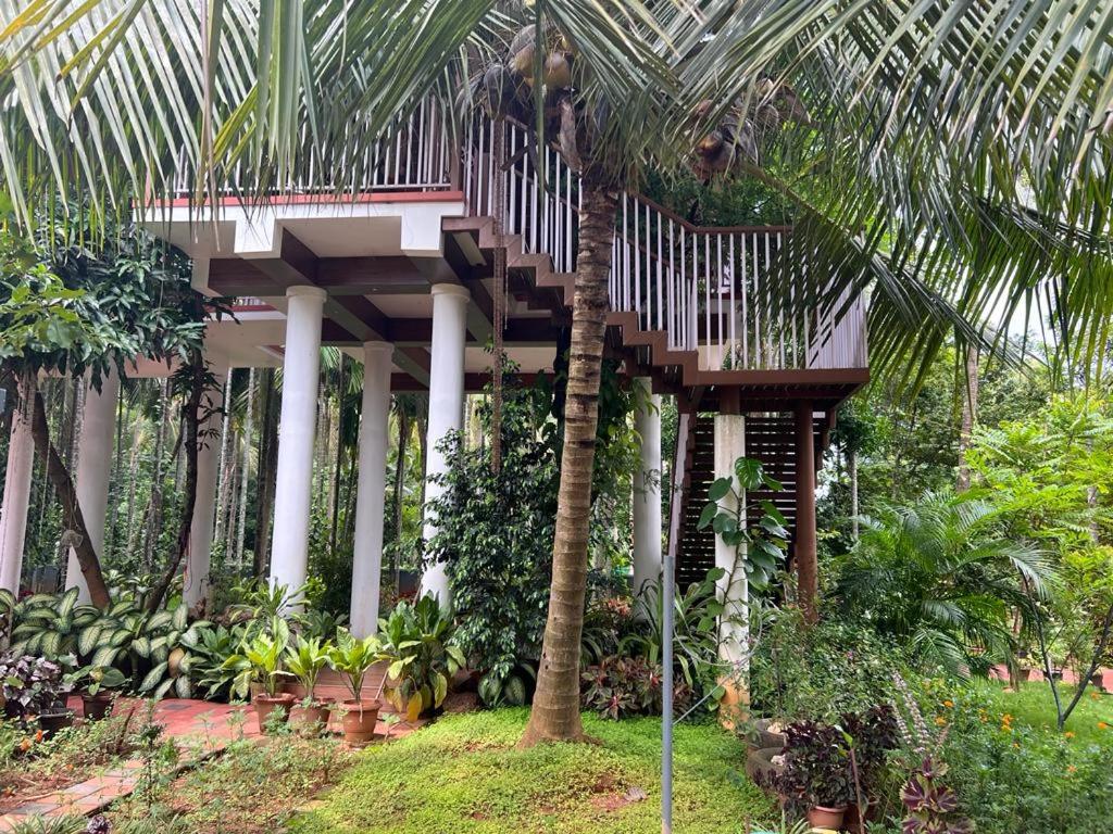 Zahrada ubytování Serenity Villa and Treehouse
